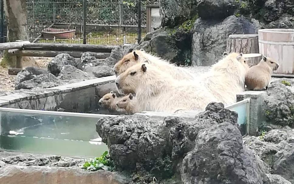 その他 写真