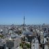 屋外の景色