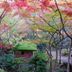 屋外の景色