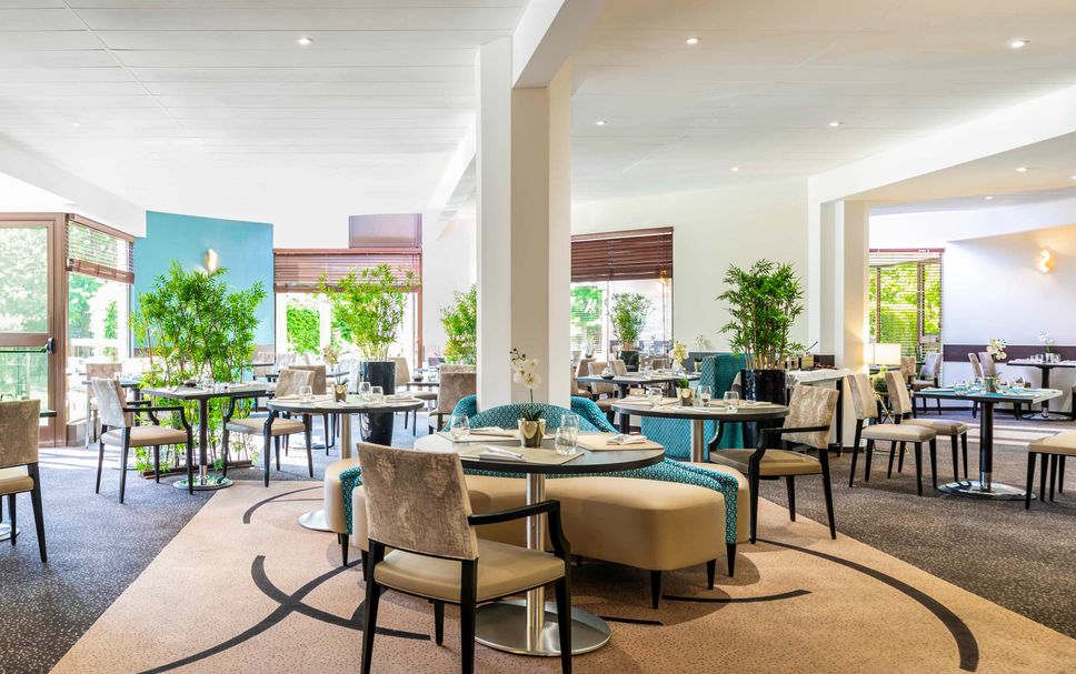 レストラン 写真