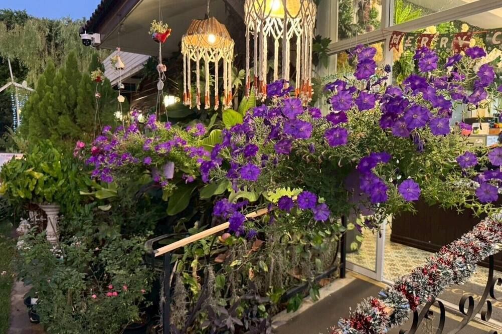 屋外の景色