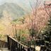 屋外の景色