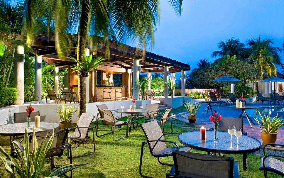 レストラン 写真