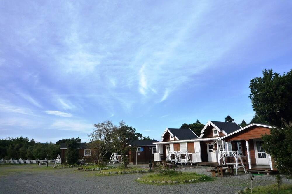 屋外の景色