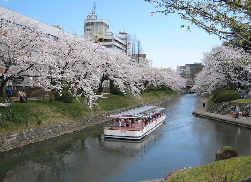 屋外の景色 写真