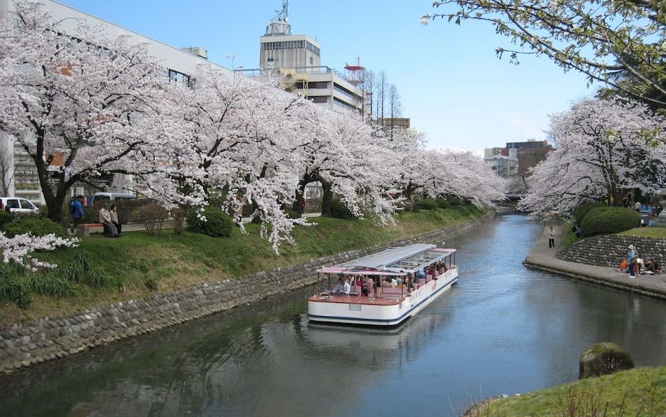 屋外の景色 写真