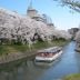 屋外の景色
