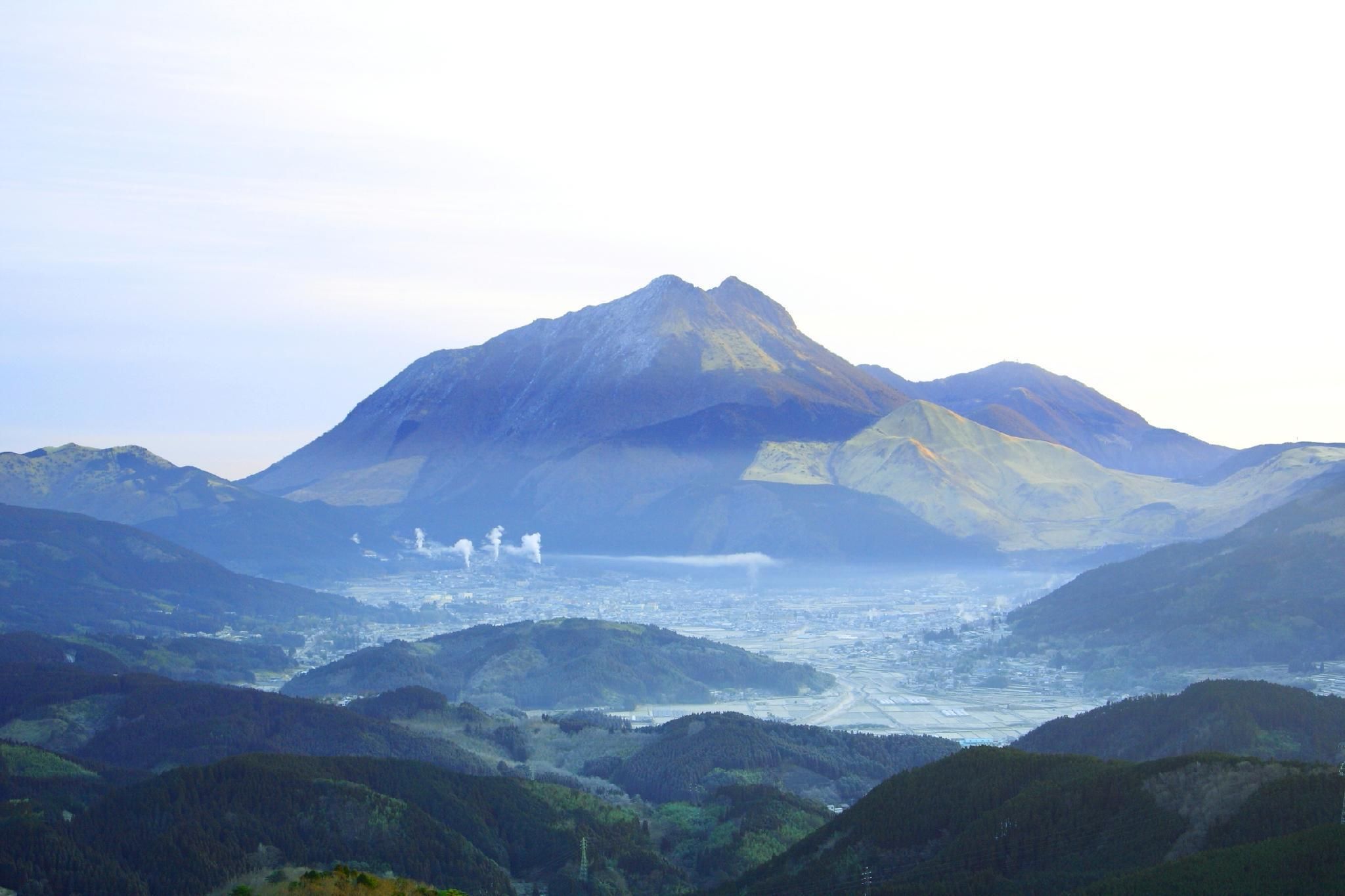 屋外の景色