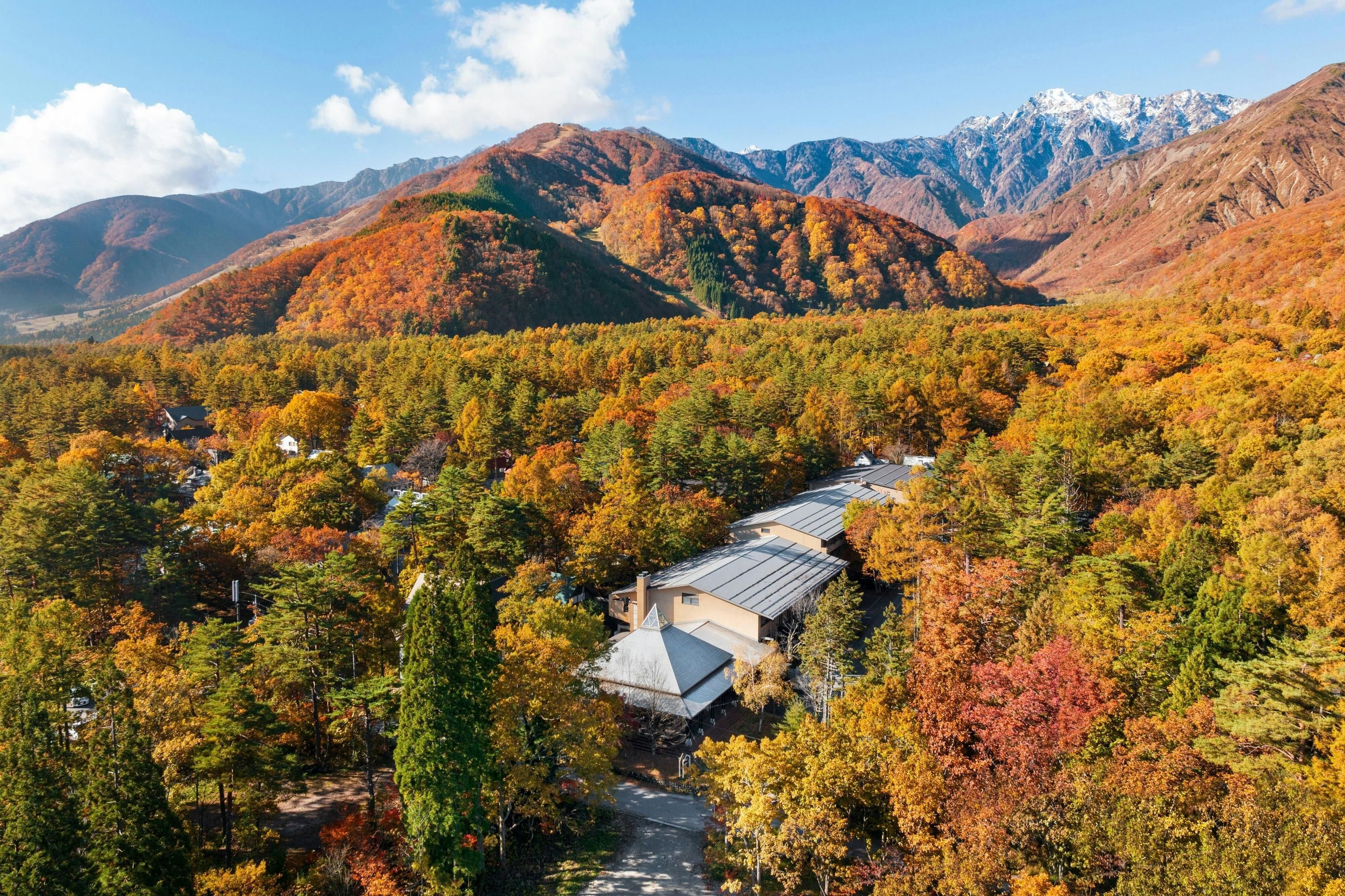 屋外の景色