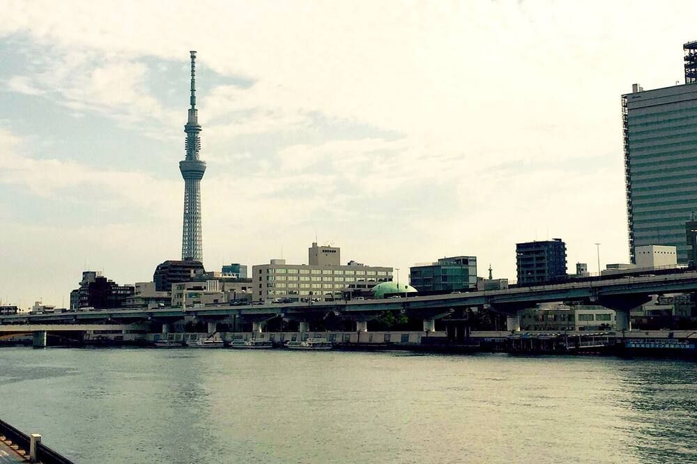 屋外の景色
