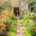 屋外の景色