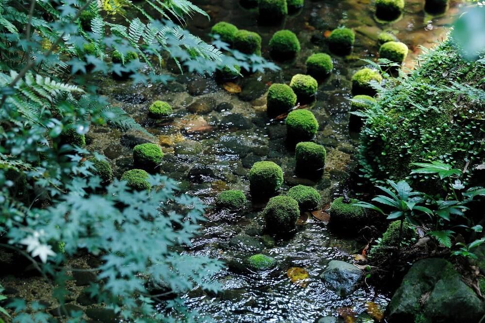 屋外の景色