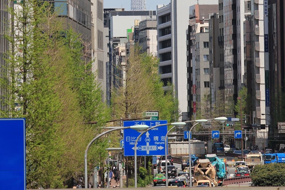 屋外の景色