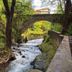 屋外の景色