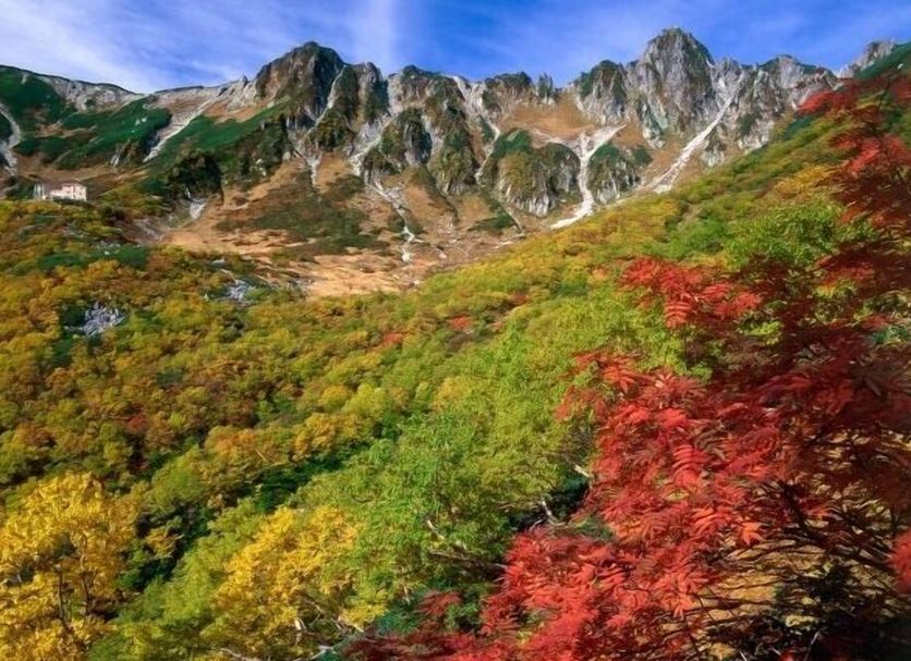 屋外の景色 写真