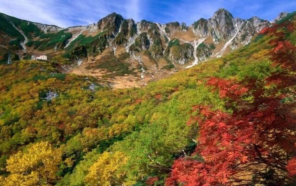 屋外の景色 写真
