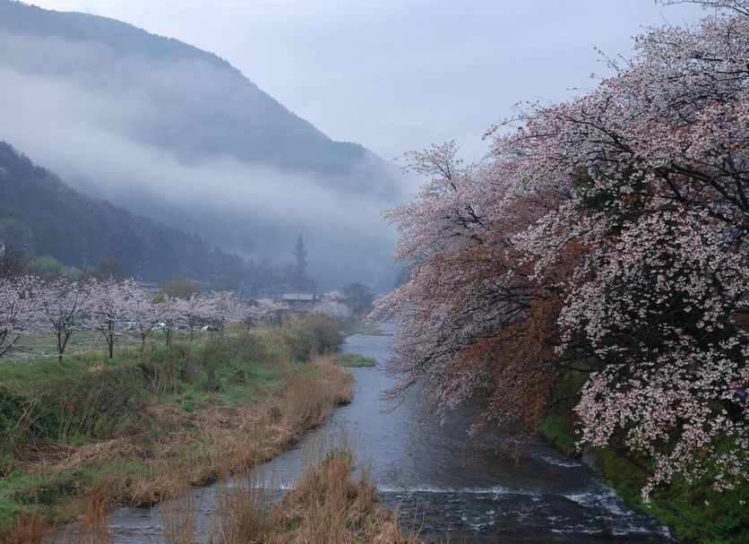 屋外の景色 写真