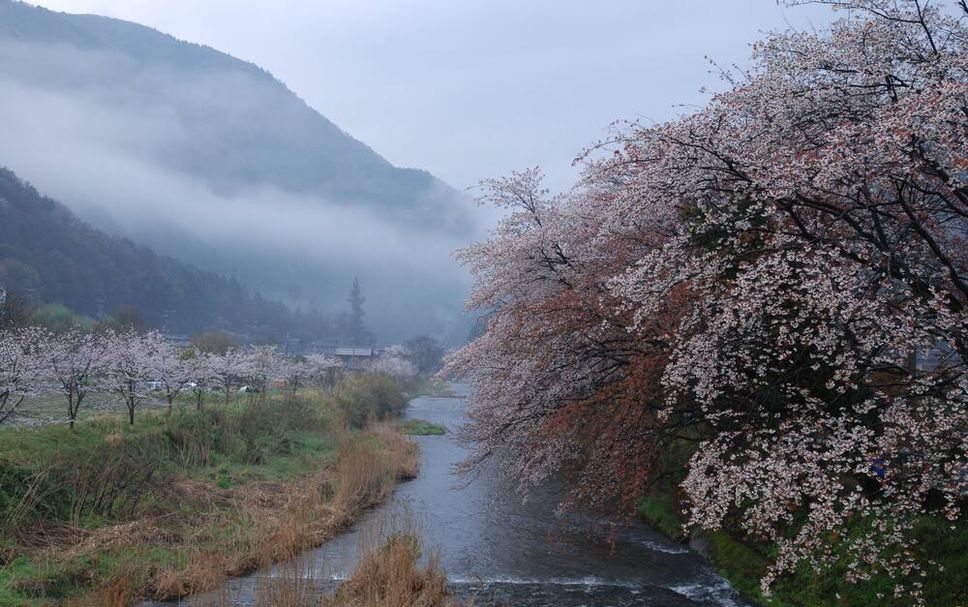 屋外の景色 写真