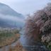 屋外の景色