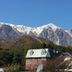 屋外の景色