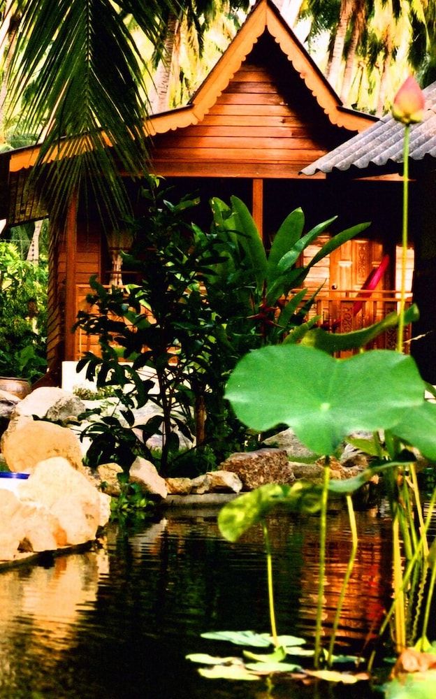 屋外の景色
