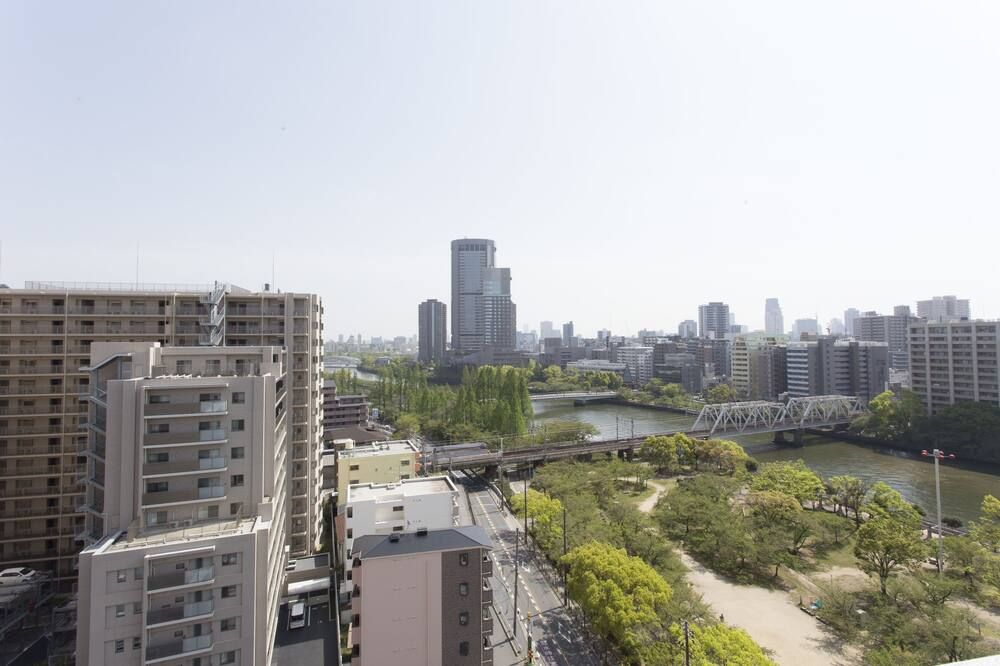 屋外の景色