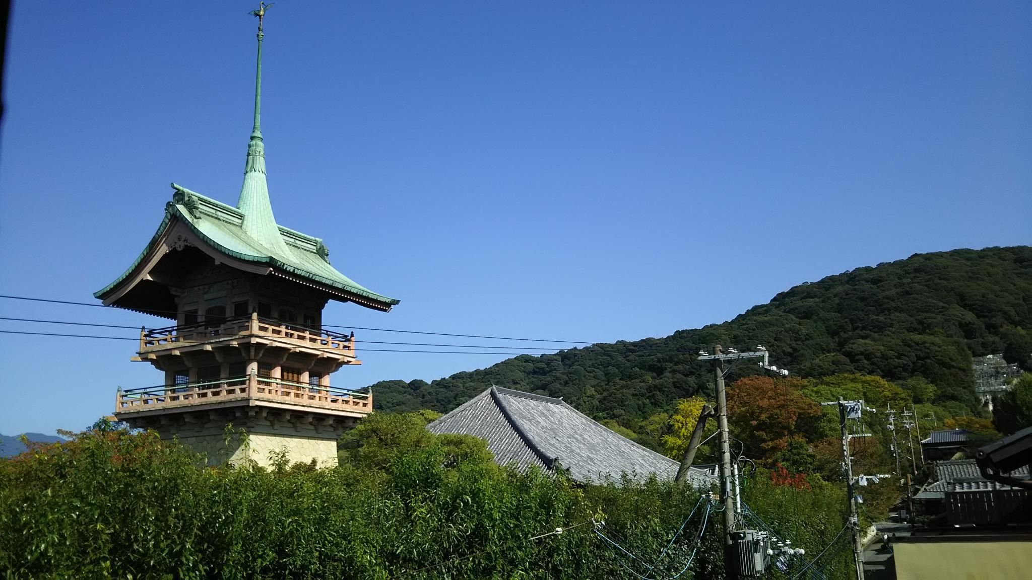 屋外の景色