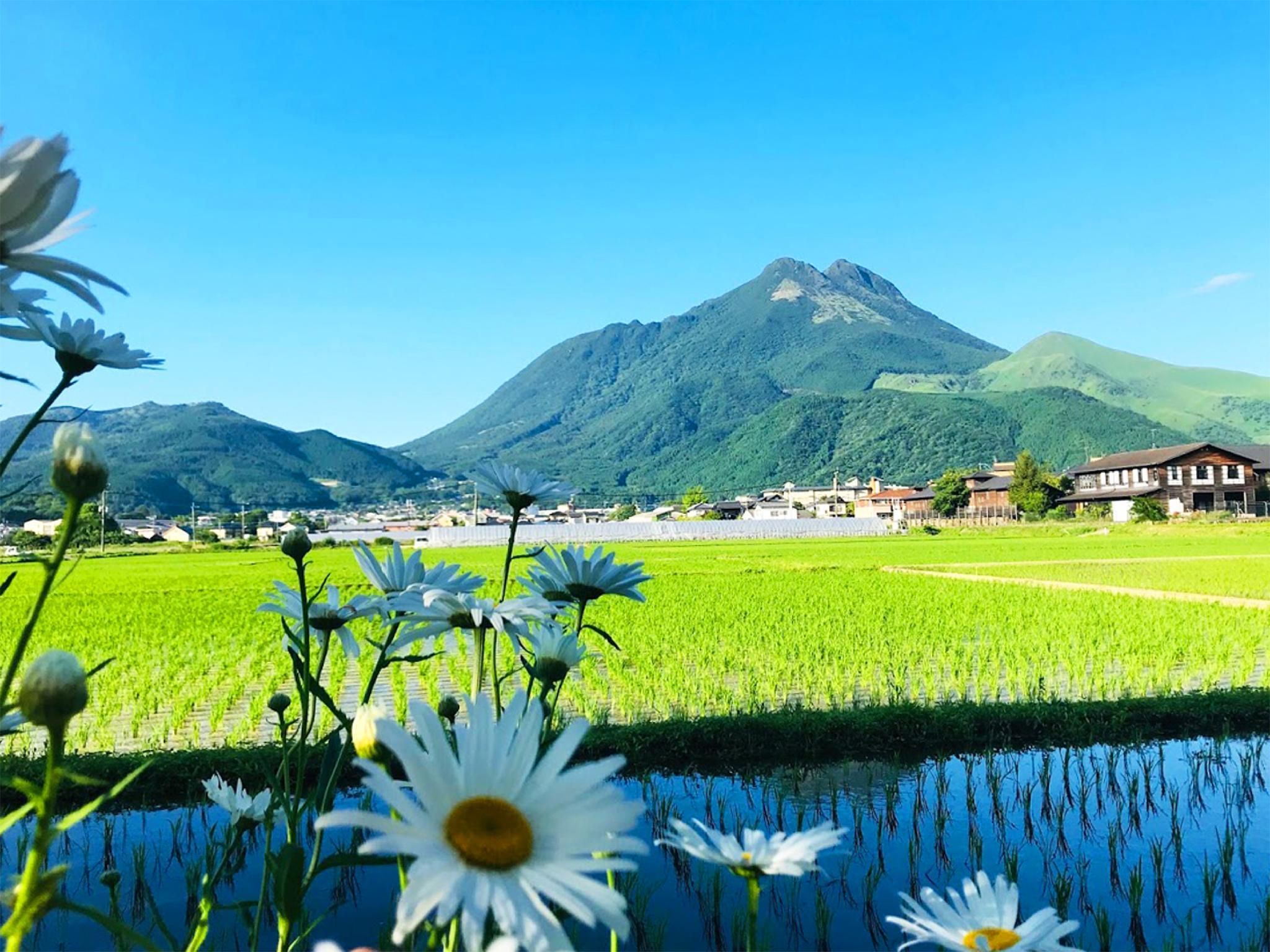 屋外の景色