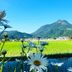 屋外の景色