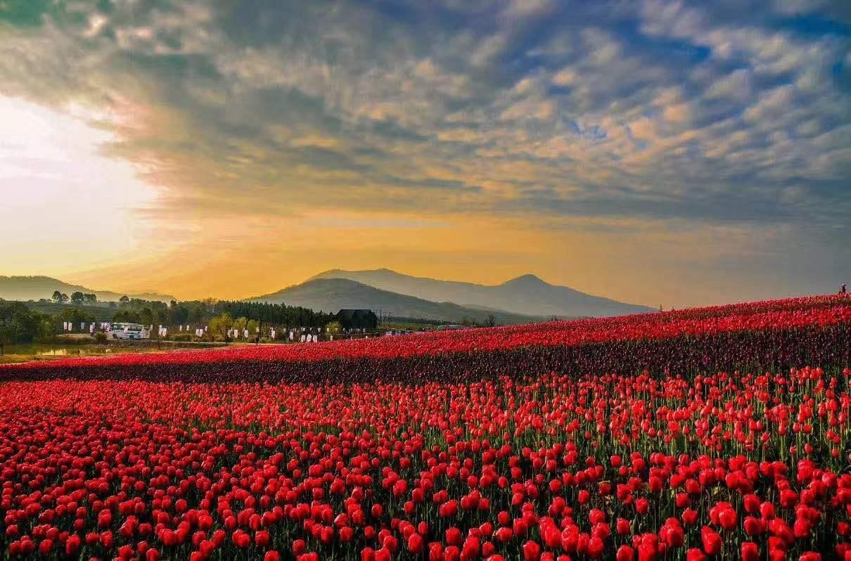 屋外の景色