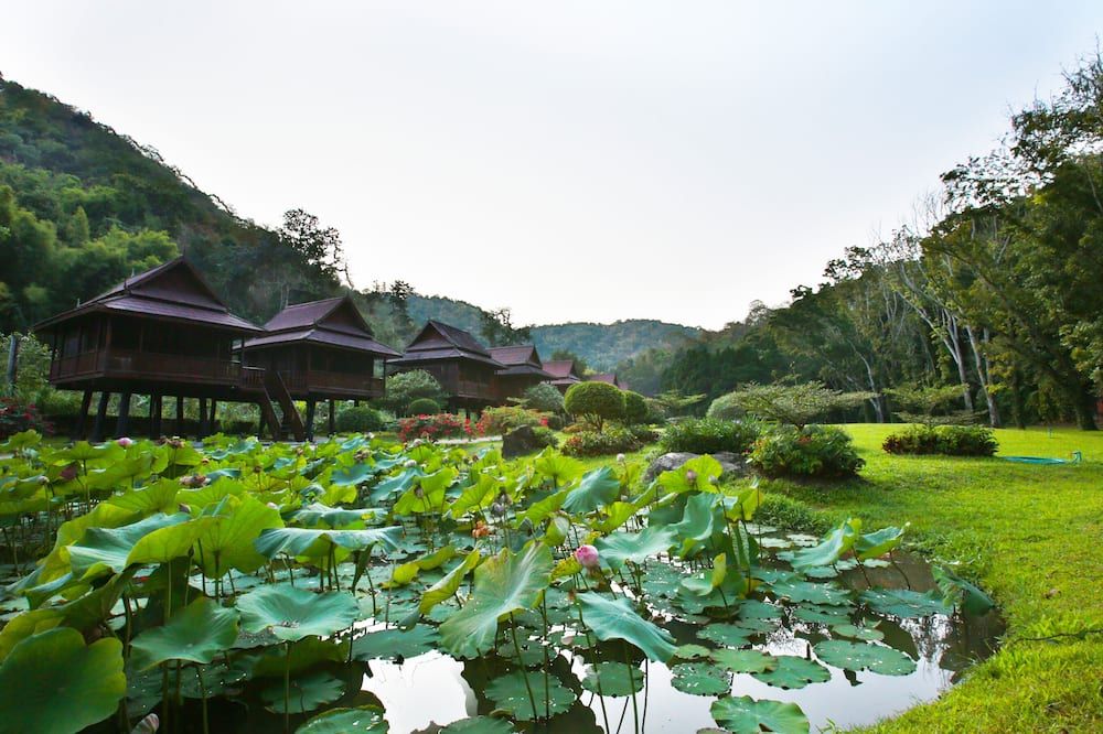屋外の景色