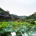 屋外の景色