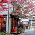 屋外の景色
