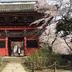 屋外の景色