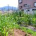 屋外の景色
