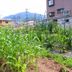 屋外の景色