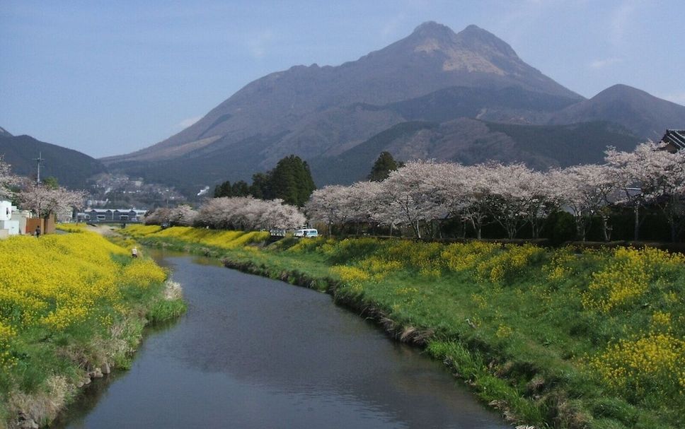屋外の景色 写真