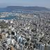 屋外の景色