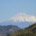 屋外の景色