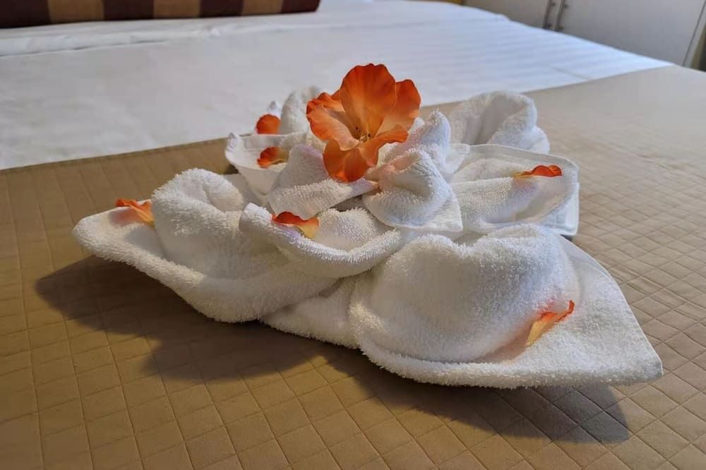 客室の設備 写真
