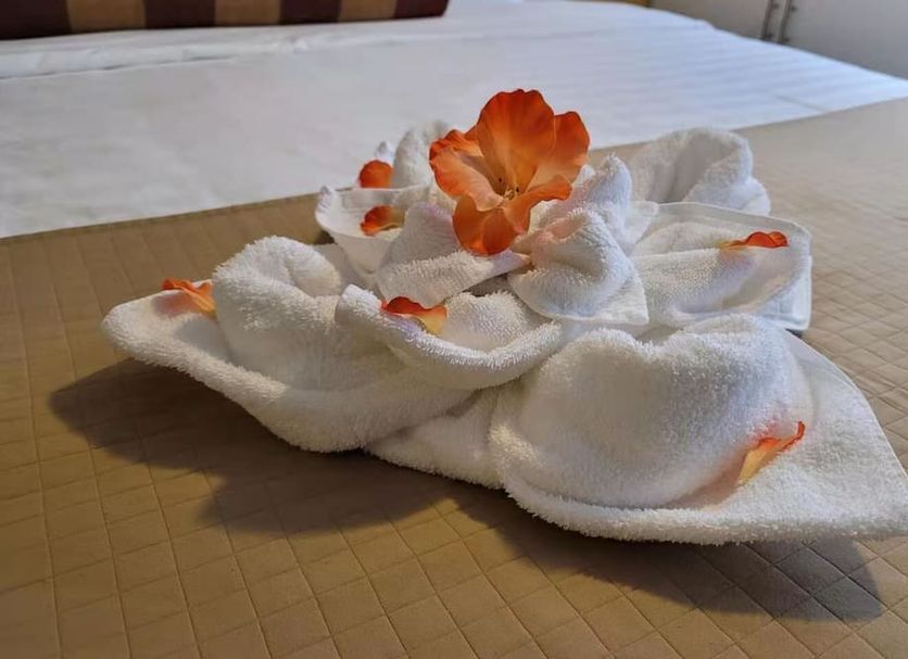 客室の設備 写真