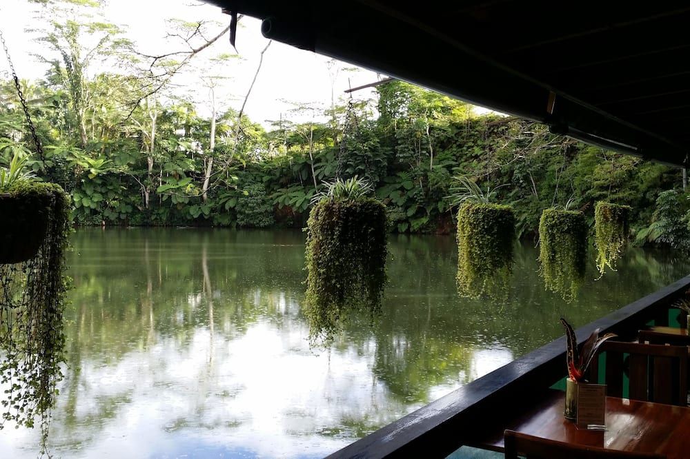 屋外の景色