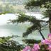 屋外の景色