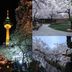 屋外の景色