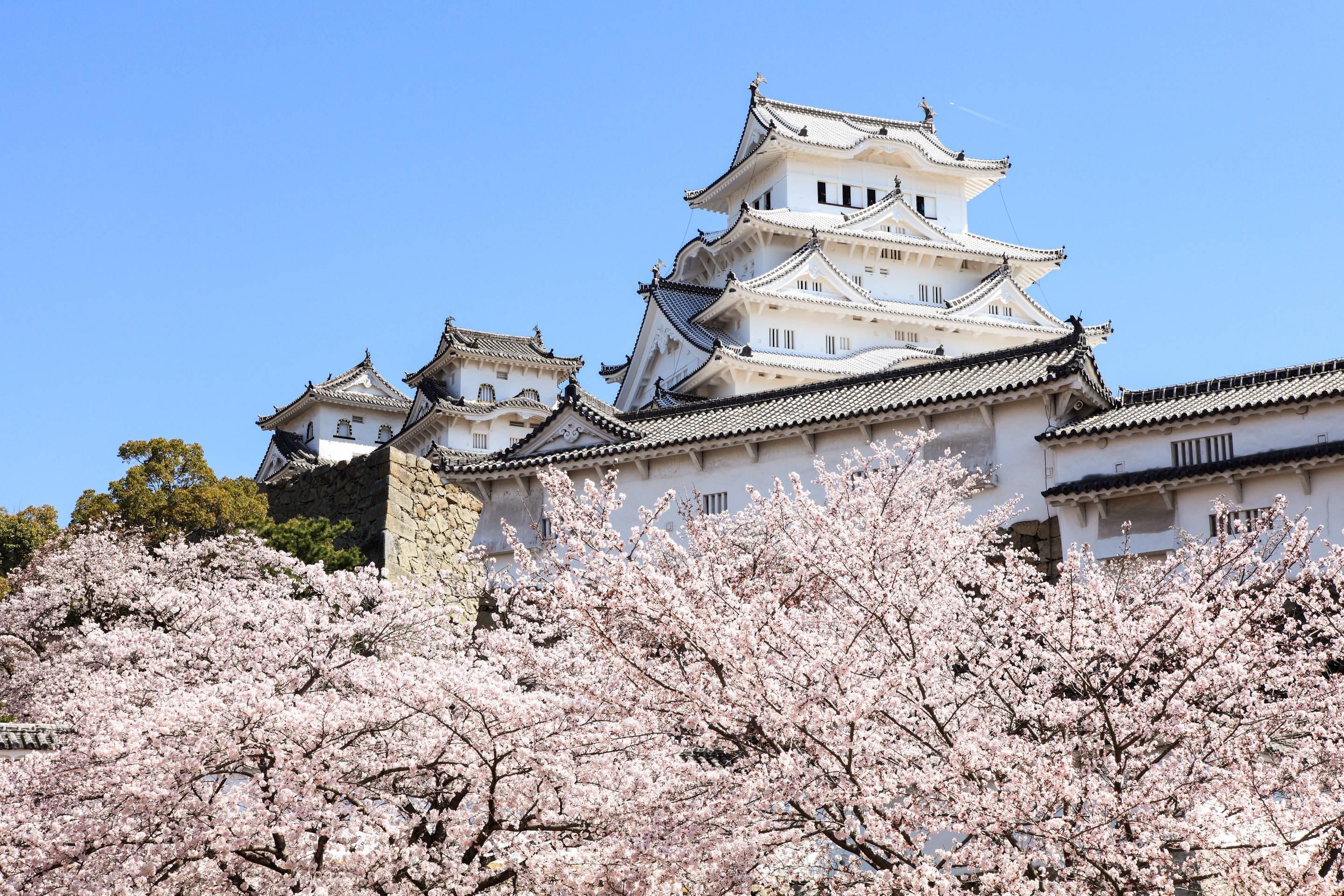 屋外の景色