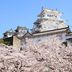 屋外の景色