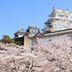 屋外の景色