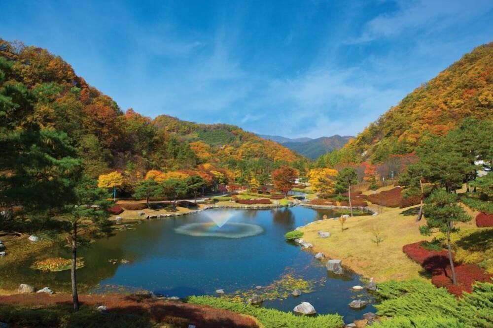 屋外の景色