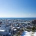 屋外の景色