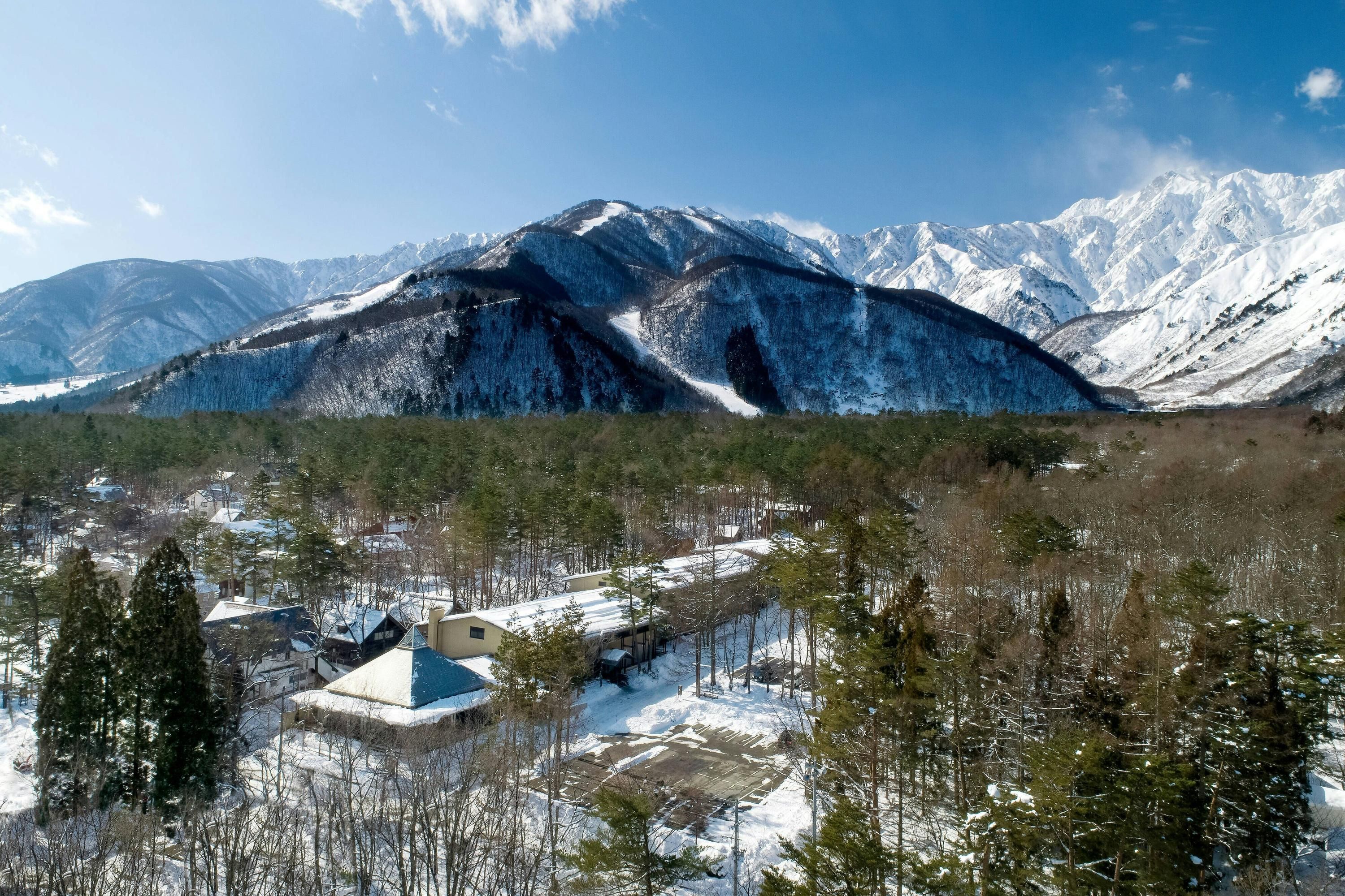屋外の景色
